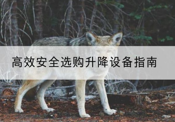 榆阳升降货梯厂家推荐-*安全选购升降设备指南