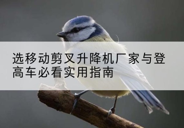 榆阳电动升降机厂家-选移动剪叉升降机厂家与登高车必看实用指南