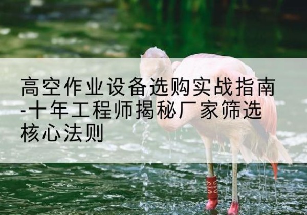 榆阳剪叉式升降机厂家-高空作业设备选购实战指南-十年工程师揭秘厂家筛选核心法则