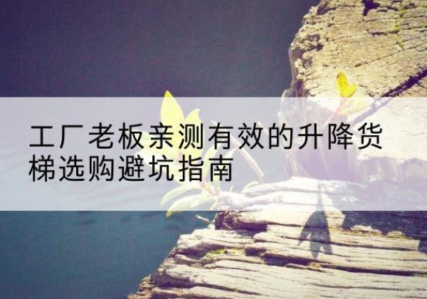 榆阳升降货梯怎么选-工厂老板亲测有效的升降货梯选购避坑指南